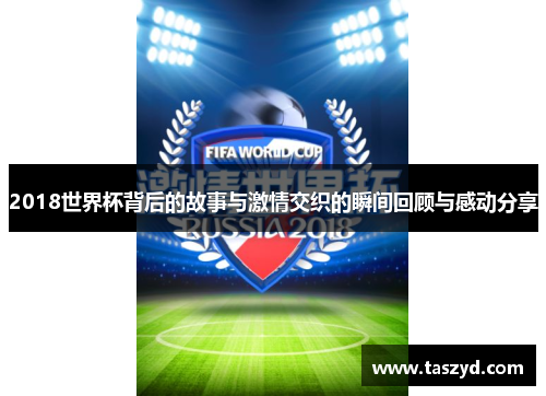 2018世界杯背后的故事与激情交织的瞬间回顾与感动分享