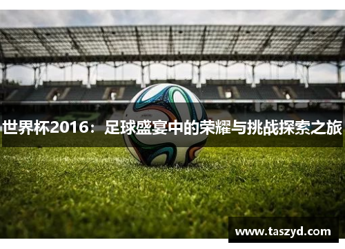 世界杯2016：足球盛宴中的荣耀与挑战探索之旅