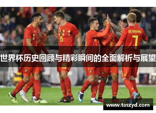 世界杯历史回顾与精彩瞬间的全面解析与展望