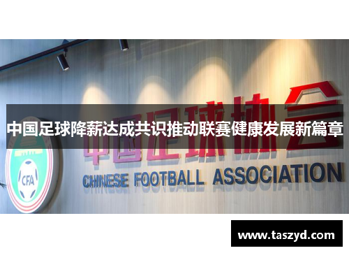 中国足球降薪达成共识推动联赛健康发展新篇章